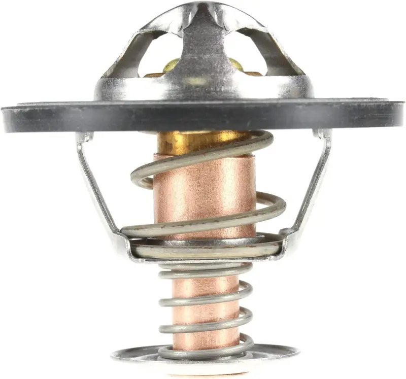 2065-195 High Flow Thermostat-195 Degrees 1