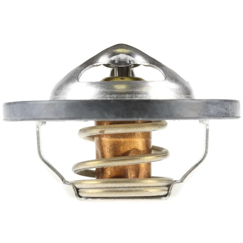 457-205 Thermostat 1
