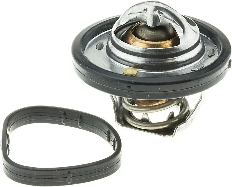 737-180 Thermostat With Seal 1