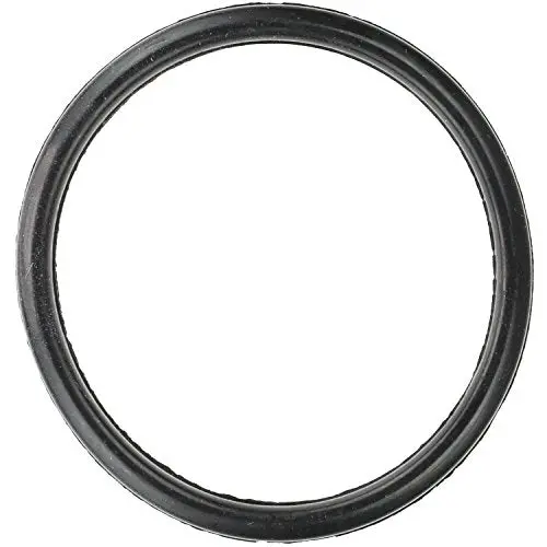 Acdelco 12S19 Professional Engine Coolant Thermostat Seal 1