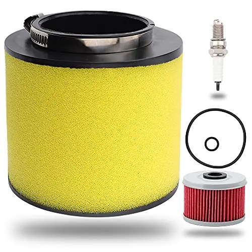 Vichoice 17254-Hn5-670 Air Filter For Trx350 Trx350fe Trx350fm Trx350te Trx350tm Trx400fa Trx400fga Fourtrax Rancher 4X4 Es Atv Parts 1