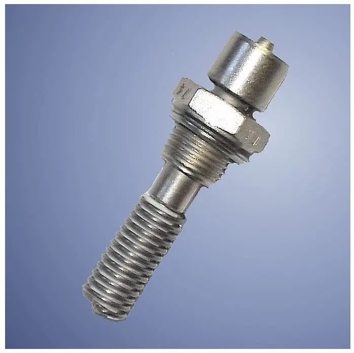 Webasto Hl18d Heater Hl32d Or Dbw46 Glow Plug 12V | 479594 | 1320558A 2